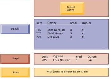 Bilgi Kaynakları ve Veritabanı Yönetimi